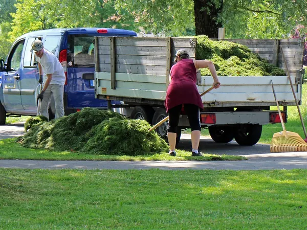 Un jardinier charge des déchets verts dans sa camionnette, Aménagement paysager.