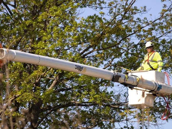 Un élagueur en nacelle dans un arbre, Élagage.